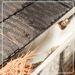 Gutter Cleaning